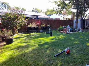 Anthony A.'s turf care service result