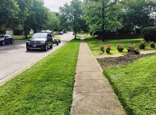 Samuel G.'s grass maintenance service result
