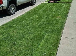 Richard R.'s lawn care services service result