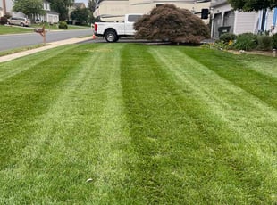 Jordan W.'s lawn service service result