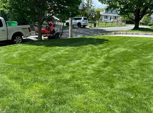 April T.'s grass cutting service result