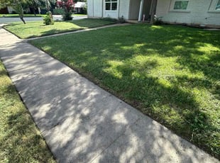 Kelsey W.'s lawn maintenance service result