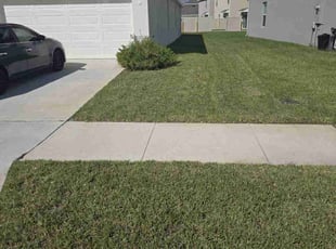 Rena D.'s lawn care service result