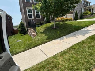 Debra D.'s lawn maintenance service result