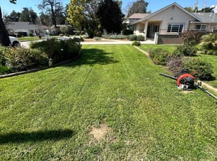 Gabriel Y.'s turf maintenance service result