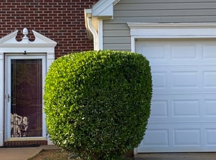 George O.'s Bush Trimming service result