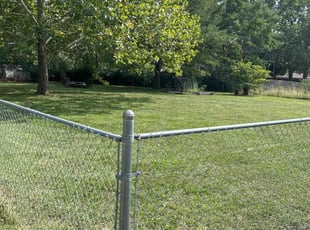 Kisha C.'s grass cutting service result