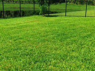 Janet M.'s turf care service result