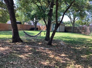 June W.'s turf care service result