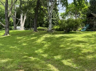 Marquicia T.'s lawn care service result