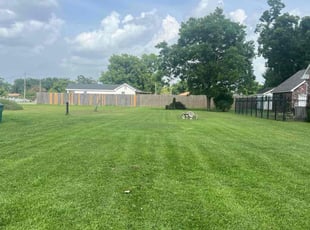 Donna L.'s turf care service result
