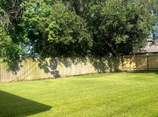 Trang T.'s lawn care service result
