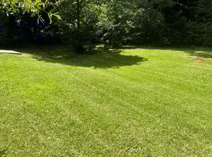 Aaron R.'s turf care service result