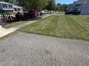 Jill R.'s lawn care service result