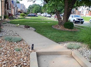 Camela N.'s lawn maintenance service result