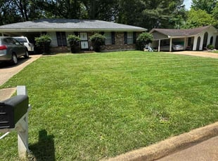Mark S.'s turf care service result