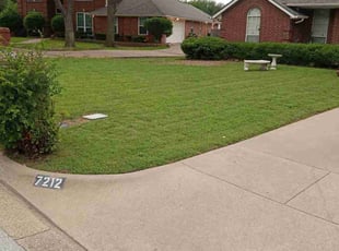 Kiara R.'s lawn care services service result