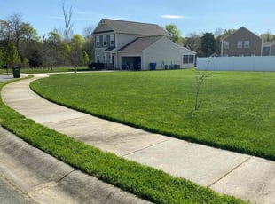 Mike C.'s lawn service service result