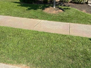 Joy T.'s lawn care service result