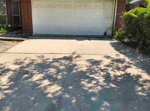 Penny L.'s Leaf Removal service result