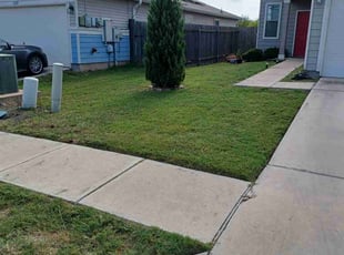 Simon B.'s grass cutting service result