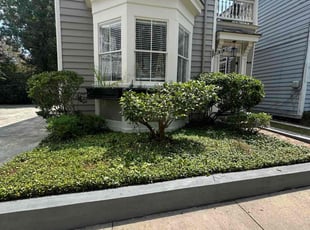 Antonio T.'s Bush Trimming service result
