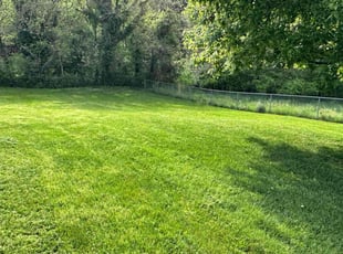 Tiffany C.'s lawn care service result