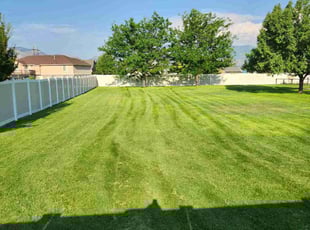 Boris F.'s lawn maintenance service result