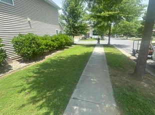 Brionna C.'s grass cutting service result