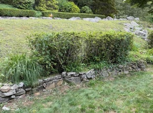 Juan P.'s Bush Trimming service result