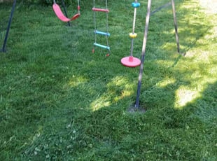 Darla G.'s Long Grass Cleanup service result