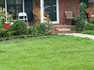 Aurelia C.'s grass maintenance service result