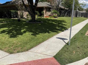 Robert C.'s grass cutting service result