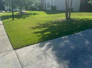Kevin C.'s lawn maintenance service result