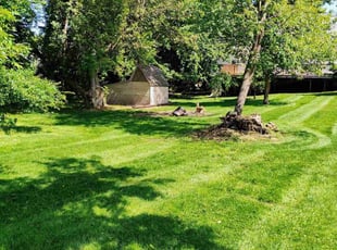 Kenneth L.'s grass cutting service result