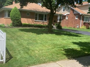 Jacqueline M.'s turf maintenance service result