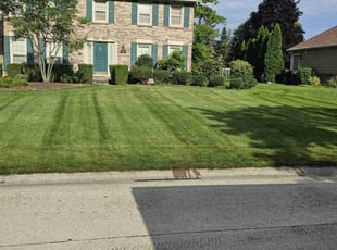 Erich D.'s grass cutting service result