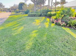 Michael N.'s lawn care services service result