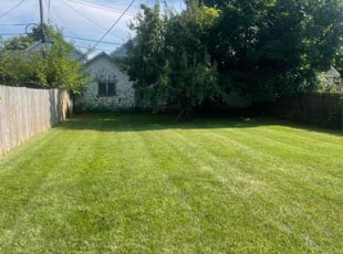 Erik N.'s lawn service service result