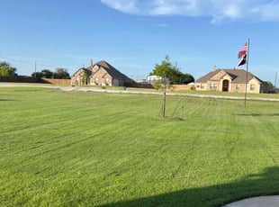 Christine S.'s turf care service result