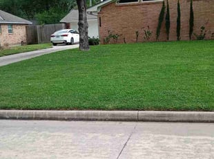 Joann L.'s turf maintenance service result