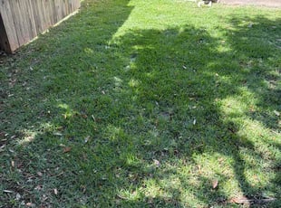 Linda P.'s lawn service service result