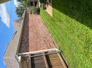 Michael B.'s lawn care service result