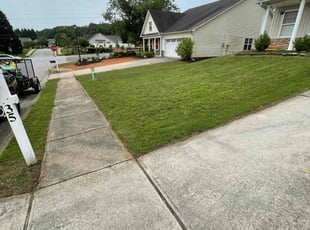 Casey M.'s lawn maintenance service result