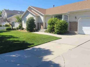 Luis G.'s grass maintenance service result