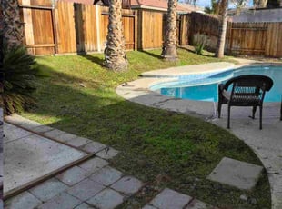 Saed A.'s turf care service result