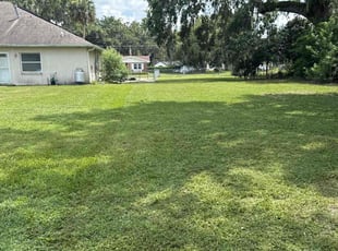 Maryann N.'s lawn care service result