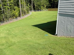 Lakendra W.'s grass cutting service result