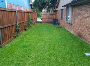 Rekha G.'s turf maintenance service result