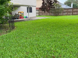 Annette Y.'s turf maintenance service result